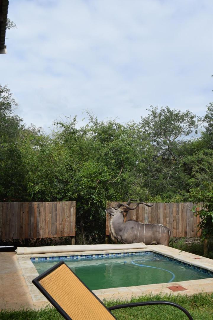 Hyena Den - - Hyena House Marloth Park