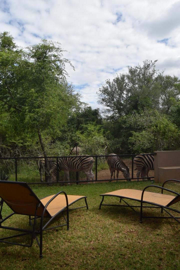 Casa de Férias Hyena Den - - Hyena House